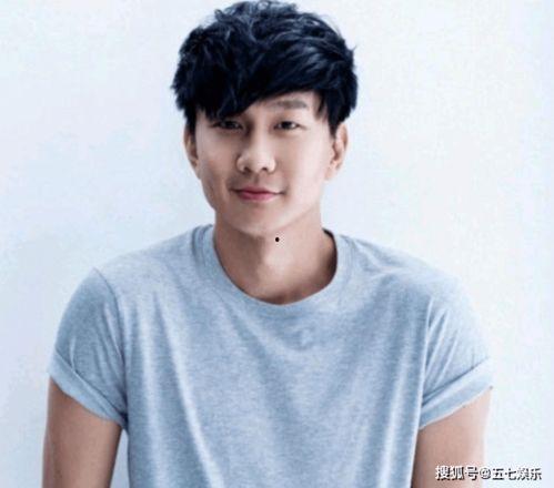 林俊杰娱乐圈吃瓜,揭秘明星背后的“吃瓜”故事