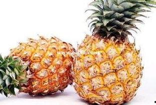 娱乐吃瓜小菠萝视频,揭秘娱乐圈幕后故事