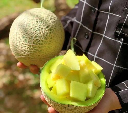 今日娱乐圈有什么瓜可以吃