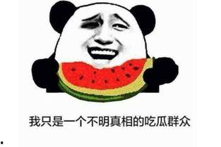 吃瓜群众表情是什么意思