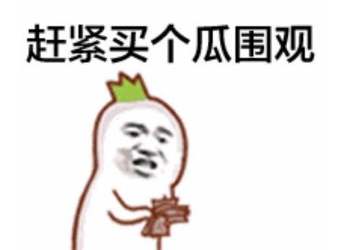 吃瓜群众表情是什么意思