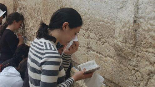 娱乐吃瓜君复仇,揭秘娱乐圈背后的恩怨情仇