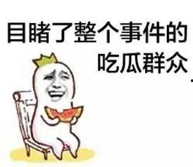 娱乐吃瓜菌人人有苦衷,人人有苦衷，吃瓜菌带你探秘幕后真相
