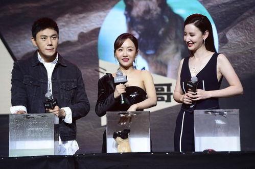 娱乐圈近期吃瓜汇总,盘点热点事件！